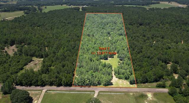 Photo of TBD (23400) CR 244 Tract 5, Overton, TX 75684
