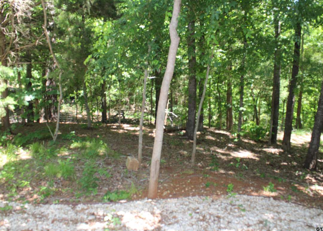 Listing photo #6