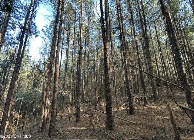 Property at Rd 383, Philadelphia, MS 39350