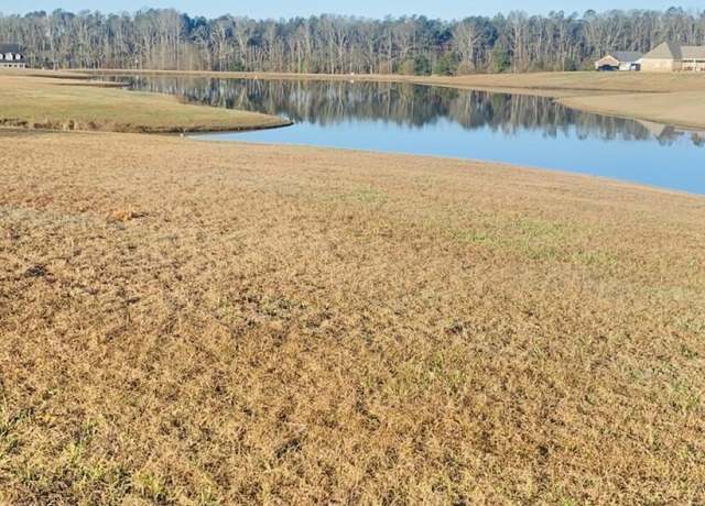 Property at Lakeview Dr, Union, MS 39365