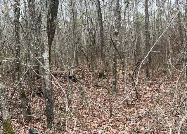 Property at 493 Hwy, Dekalb, MS 39352