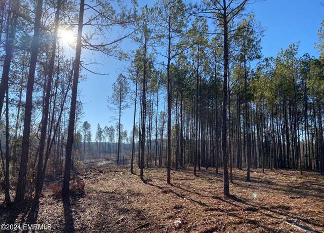 Property at CR 110, Quitman, MS 39335