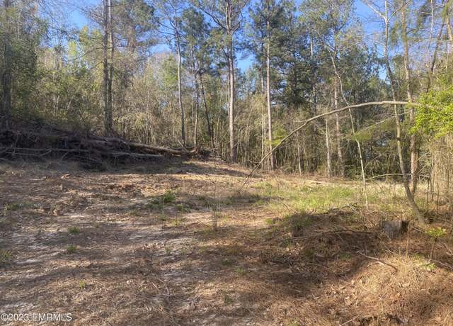 Property at Road 171, Carthage, MS 39350
