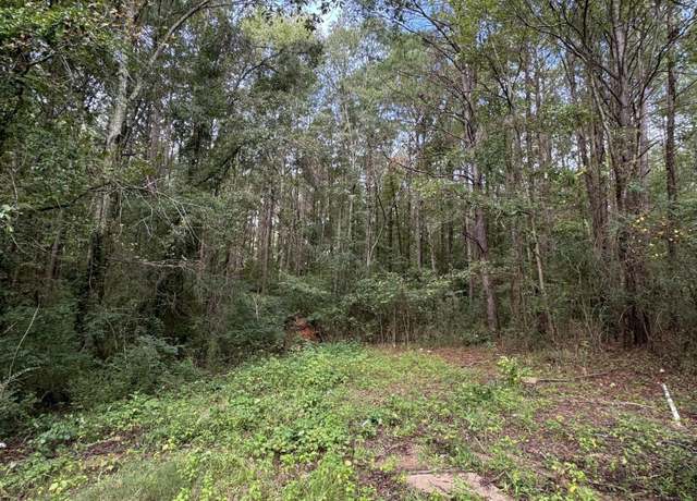 Property at 264 N Lewis Ave, Philadelphia, MS 39350