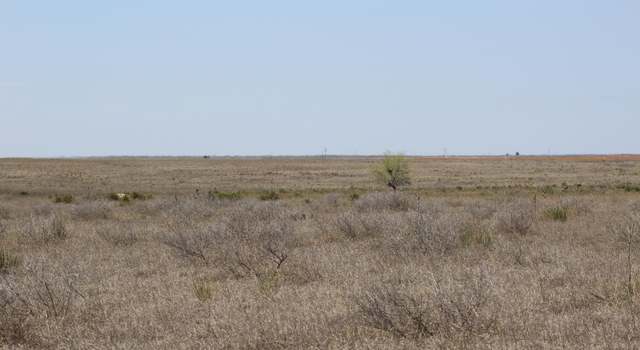 Photo of Farm to Market Highway 1169, Morton, TX 79346