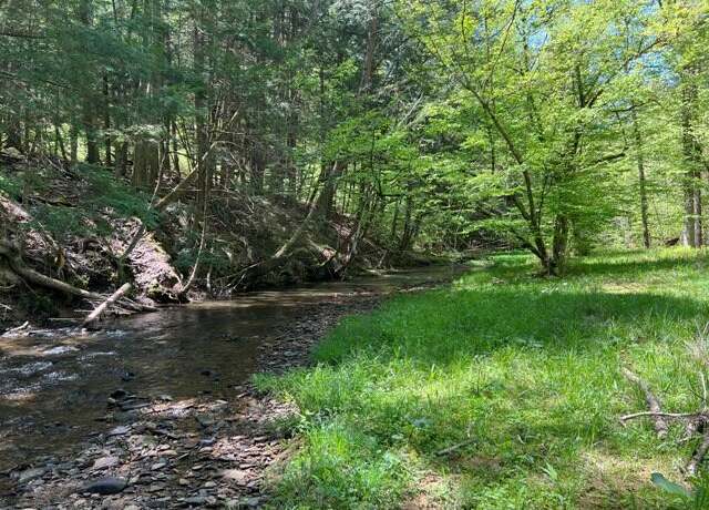 Property at Clear Creek Rd, Emporium, PA 15834