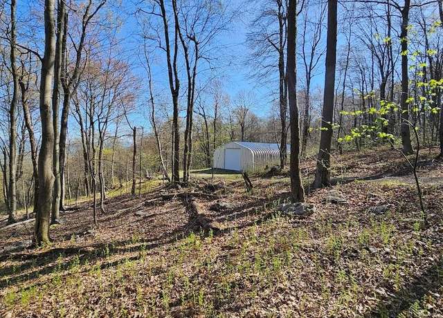 Property at 20832 Laurel Mountain Rd, Three Springs, PA 17264, 1 bed