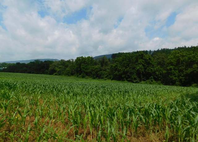 Property at 0 Vira Rd, Lewistown, PA 17044