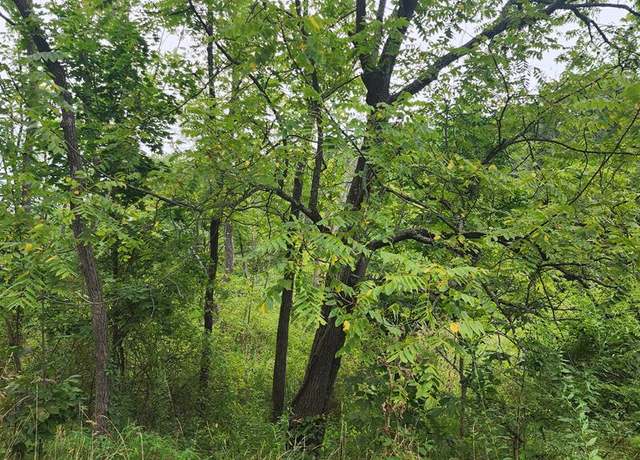Property at 000 Walnut St, Cassville, PA 16623