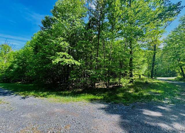 Property at LOT 46 Paradise Pt, James Creek, PA 16657