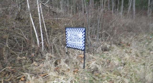 Photo of 0000 Peg Run Run Rd, Northern Cambria, PA 15714