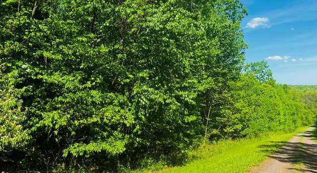 Photo of LOT 54 Paradise Pt, James Creek, PA 16657