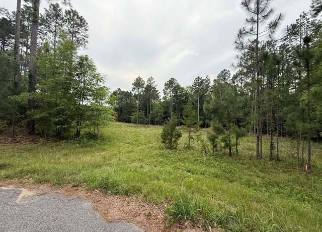 Property at Lot 30 Merganser Ln, Moultrie, GA 31768