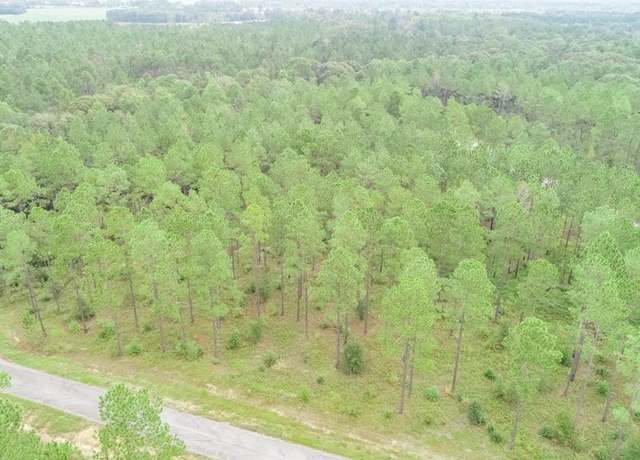 Property at LOT 28 Merganser Ln, Moultrie, GA 31768