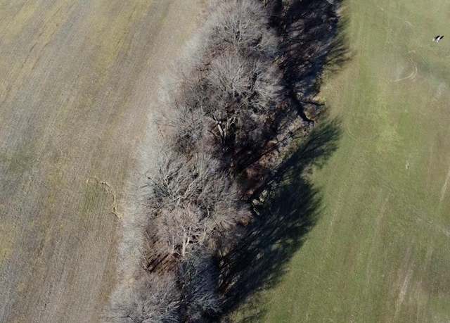 Property at Burrus Rd, Union City, TN 38261