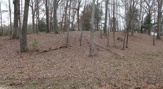 Photo of Hinkledale Rd, Mckenzie, TN 38201