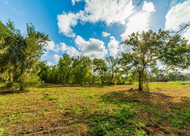Property at 0 Cr319, Brazoria, TX 77422