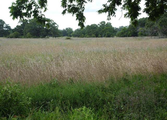 Property at FM 457 Fm 457 Sargent Hwy, Cedar Lane, TX 77415