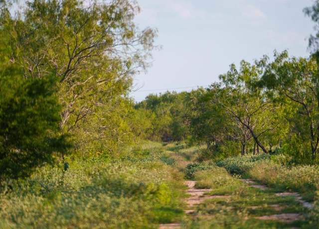Property at 000 Leal Rd, TX 11111