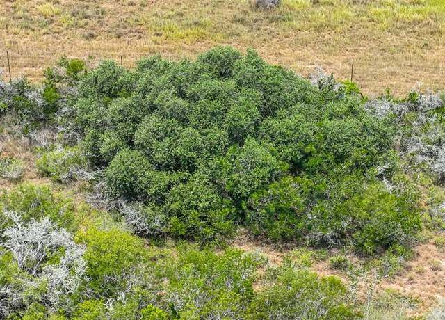 Property at 00 Chuckar Dr, Mineral, TX 78125