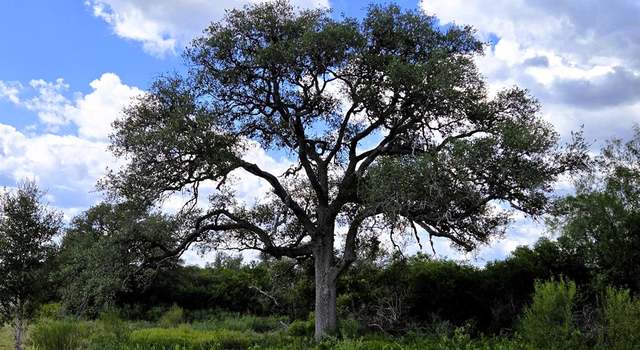 Photo of 000 Cr 104, Normanna, TX 78142