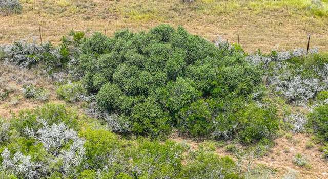 Photo of 00 Chuckar Dr, Mineral, TX 78125