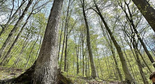 Photo of 00 Little Kyger, Cheshire, OH 45620