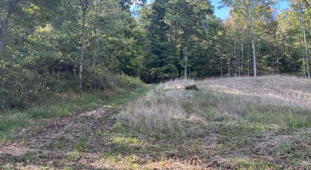 Photo of SR 124, Langsville, OH 45741