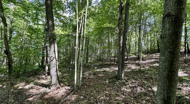 Photo of Lot 1 Rowland Rd, Clinton Township, OH 45634