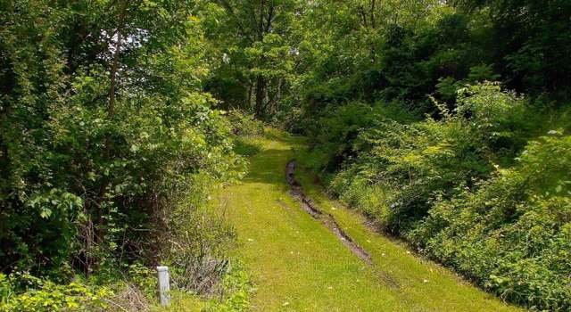 Photo of Long, Murray City, OH 43144