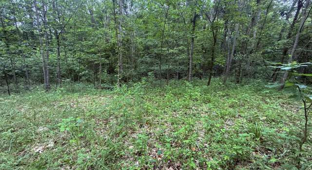 Photo of 4103 S Rodehaver Rd, Guysville, OH 45735
