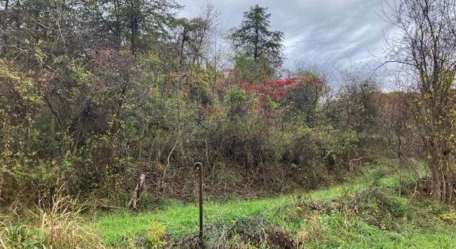 Photo of Curtis Hollow Rd, Long Bottom, OH 45743