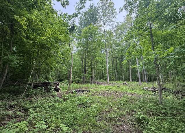 Property at 0 State Route 511 N, Ashland, OH 44805