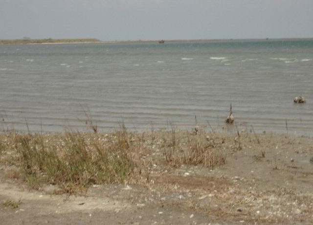 Property at 846 Egery Island Rd, Taft (bayside), TX 78390