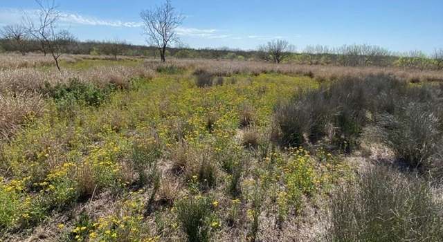 Photo of 000 Cameron Ln/old Fowlerton Rd, Fowlerton, TX 78021