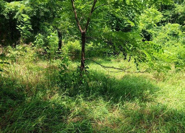 Property at 0 N Side St. Rt. 689, Albany, OH 45710