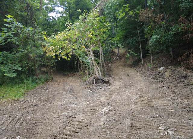 Property at 94 ac Nace Run Rd, Stout, OH 45684