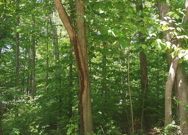 Property at Woodland Dr, Waverly, OH 45690