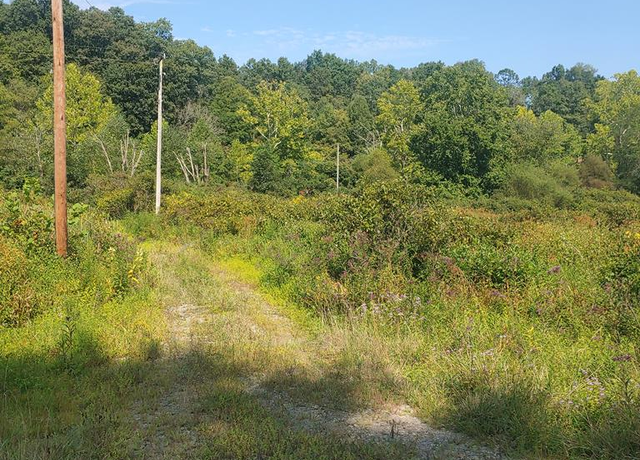 Property at Undisclosed address, Oak Hill, OH 45656