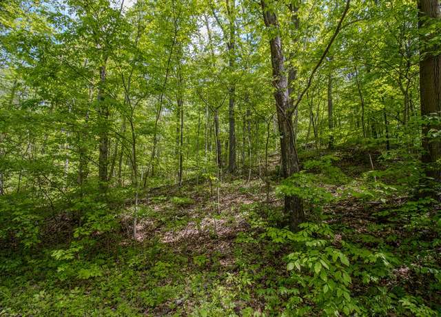 Property at 0 Kinzer Rd, Bainbridge, OH 45612
