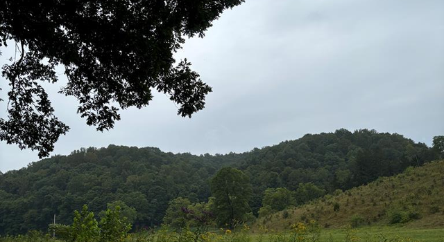 Photo of 31435 Stevens Branch Rd, Londonderry, OH 45647