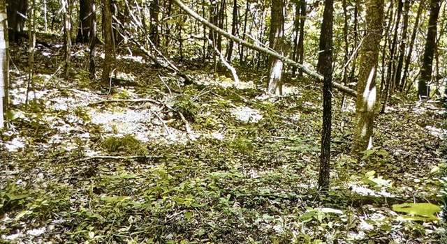 Photo of 53471 St. Rt. 671, Londonderry, OH 45647