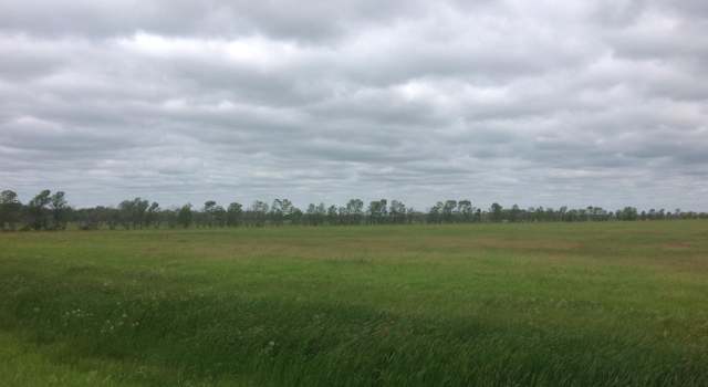 Photo of TBD County Hwy 21, Euclid, MN 56722
