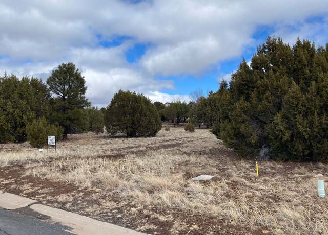Property at 641 S Rock Creek Dr, Show Low, AZ 85901, 1 bath
