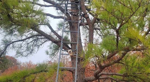 Photo of ???? 6 Mile, Marlow, OK