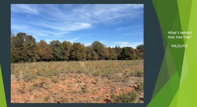 Photo of CR 1530 & Cs 2920, Rush Springs, OK 73082