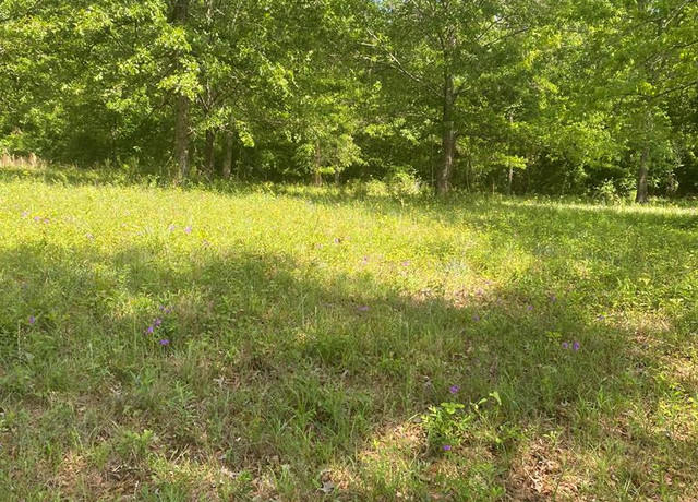 Property at 60 Crabapple Dr, Hawkinsville, GA 31036