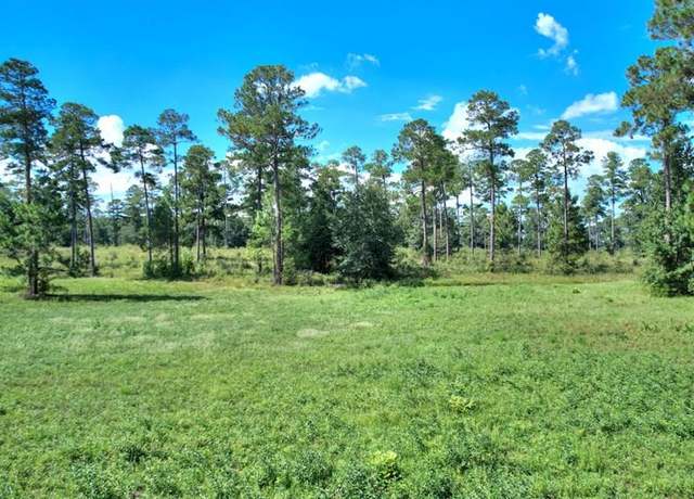 Property at lot 12 Blk A - N Coney Rd, Cordele, GA 31015