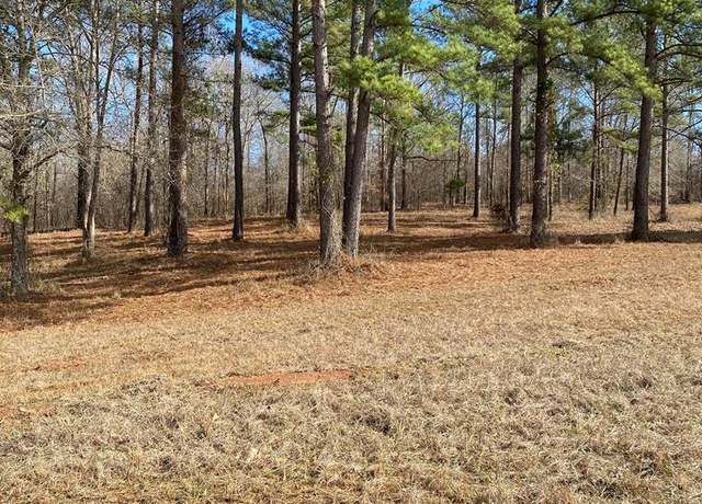 Property at 40 River Rdg, Hawkinsville, GA 31036