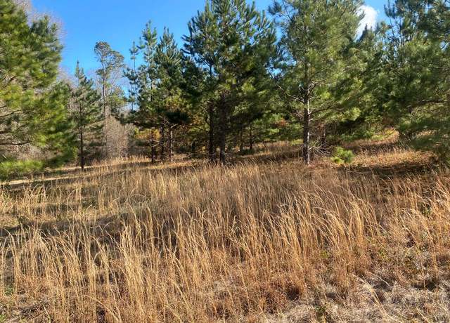 Property at 10 Acres Twin Pinesroad, Cordele, GA 31015